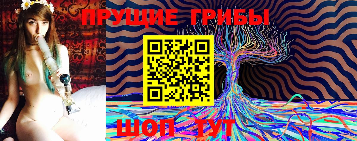 Кемерово  Галлюциногенные грибы GOLDEN TEACHER  Вход с VPN 