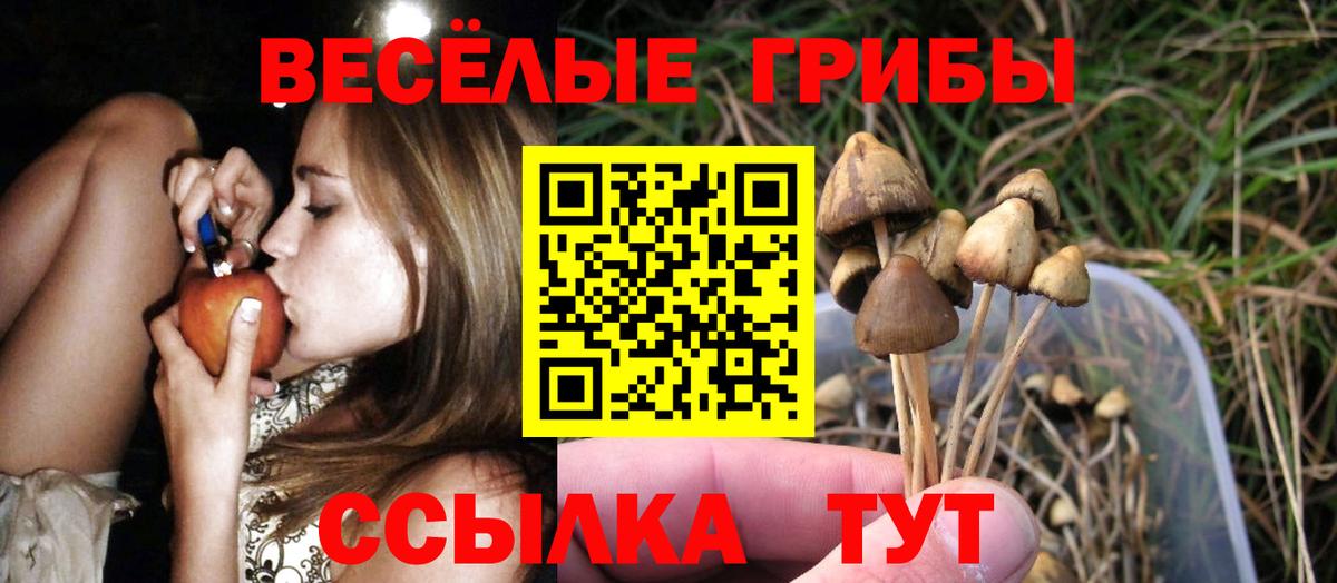 Галлюциногенные грибы Magic Shrooms Кемерово